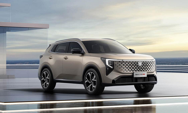 中国人保携手高邑晟强汽车“双11”购车节