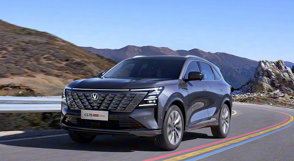  中国人保携手凤县好车居汽车购车嘉年华